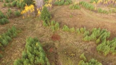  Güneşli günde Nehri'nin sonbahar ağaçlara