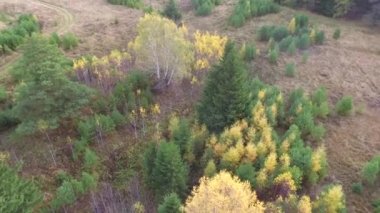  Güneşli günde Nehri'nin sonbahar ağaçlara