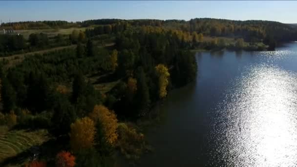 Jesienne Drzewa Brzegu Rzeki Słoneczny Dzień — Wideo stockowe