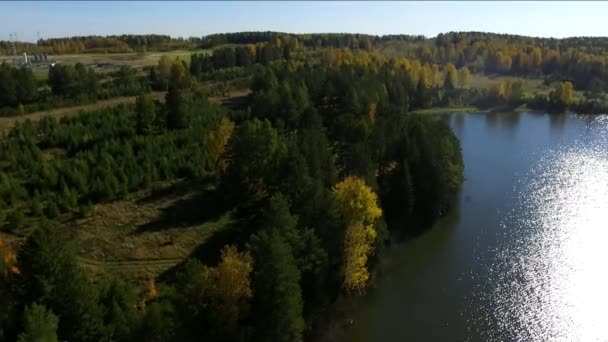 Осінні Дерева Березі Річки Сонячний День — стокове відео