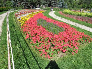 Dendrological Park Yekaterinburg çiçek yatağı