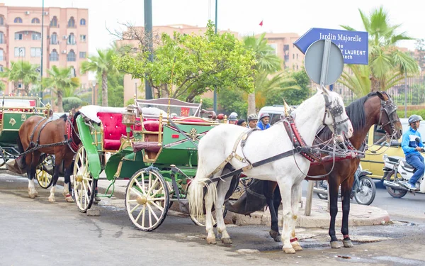 carriage with horses in Eastern town