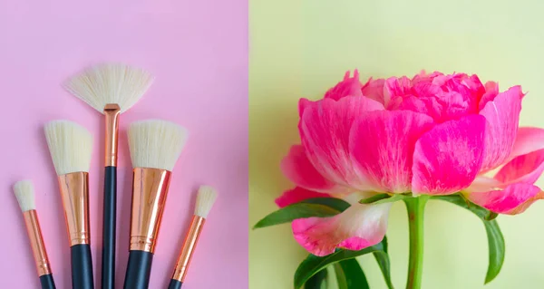 premium makeup brushes and pink peony flower on a colored pink and yellow background, creative cosmetics flat lay