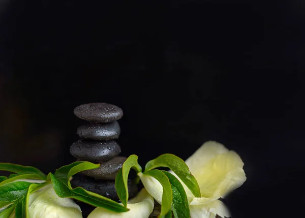 pyramid of stones and peony petals on dark background. balanced zen stones. spa and relax creative concept.