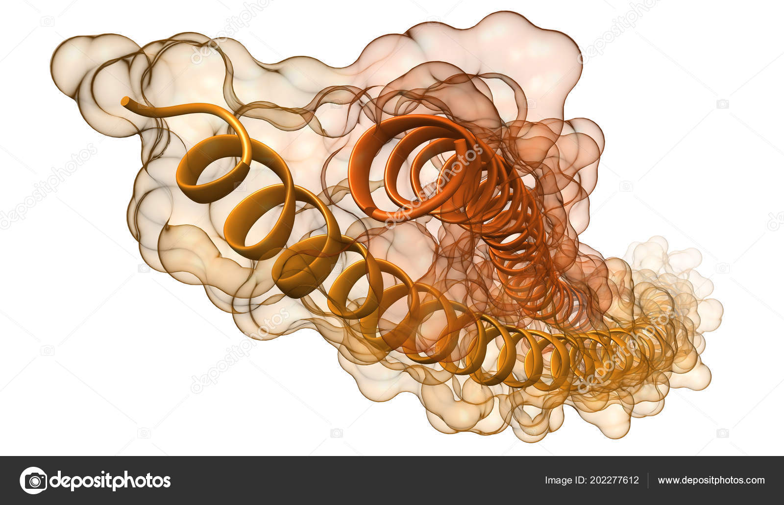 Modelo Cinta Molécula Estructura Química Los Filamentos Queratina