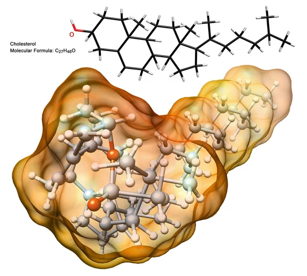 有机化学 胆固醇分子的结构与化学配方和2D 生物微粒分离的例证 — 图库照片