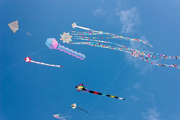 2012 日イタリア チェルヴィア 上の国際凧祭りに青空で功妙なカラフルな凧 — ストック写真