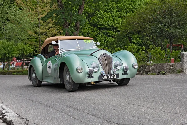 ヒーリー ウェストランド ロードスター 1948 英国クラシックカー ラリー ミッレ ミリア 2013 有名な歴史 — ストック写真