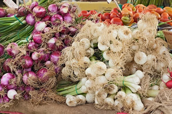 Sträuße Von Italienischen Zwiebeln Und Knoblauch Auf Dem Gemüsemarkt — Stockfoto
