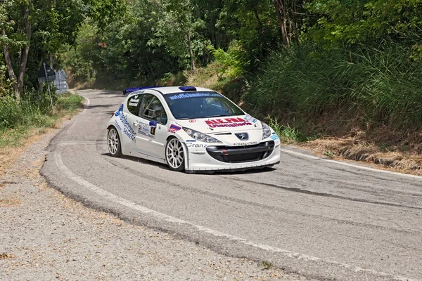 Kazananlar Tomassini Bizzocchi Bir Yarış Araba Peugeot 207 Ralli Della — Stok fotoğraf