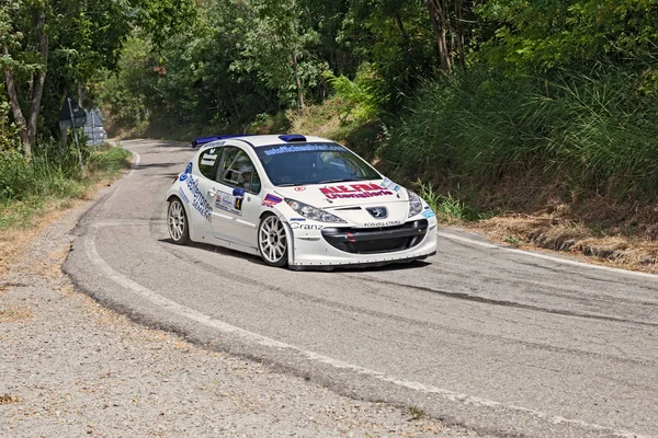 Győztes Tomassini Bizzocchi Egy Verseny Autó Peugeot 207 Akcióban Rally — Stock Fotó