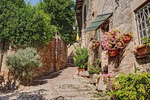 picturesque antique narrow alley with flowers and plants in Montefalco, Umbria, Italy