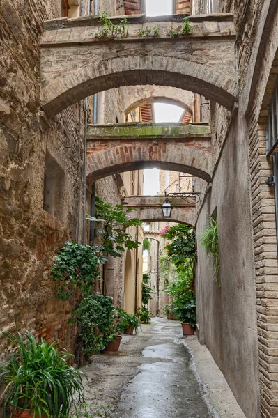 Pintoresco Callejón Estrecho Con Arcos Antiguos Plantas Maceta Bevagna Umbría —  Fotos de Stock