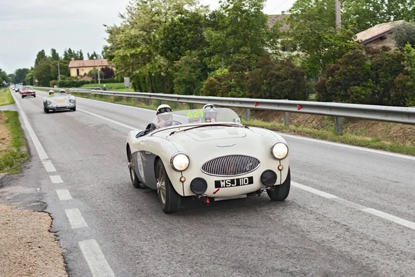 Vintage Sports Car Austin Healey 100 1955 Runs Rally Mille — Stock Photo, Image