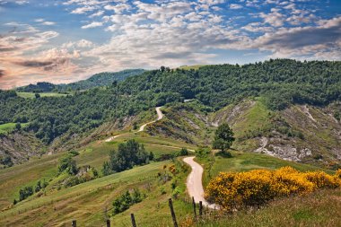 Forli-Cesena, Emilia Romagna, Italy: landscape of the Apennine mountains with flowering broom, dirt road, forest and pasture clipart