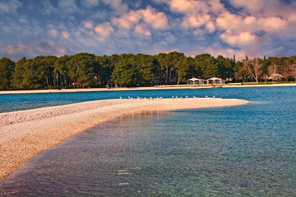 Fazana Istrien Kroatien Landschaft Des Adriatischen Meeres Bucht Und Strand — Stockfoto