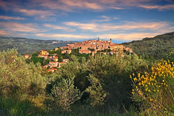 Seggiano Grosseto Toskana Italien Landschaftliche Landschaft Mit Tge Antiken Hügelstadt — Stockfoto