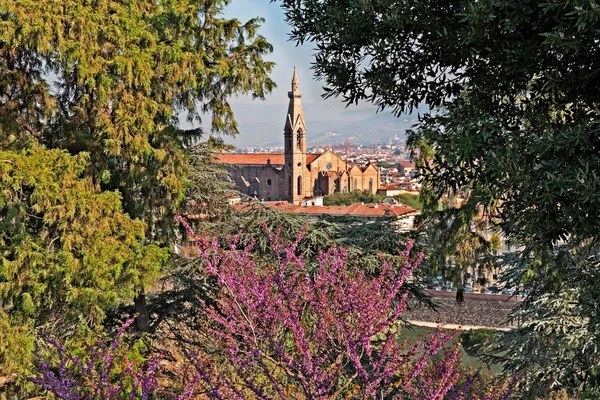 Florence Tuscany Italy View Cathedral Basilica Santa Croce Frame Leaves — Stock Photo, Image