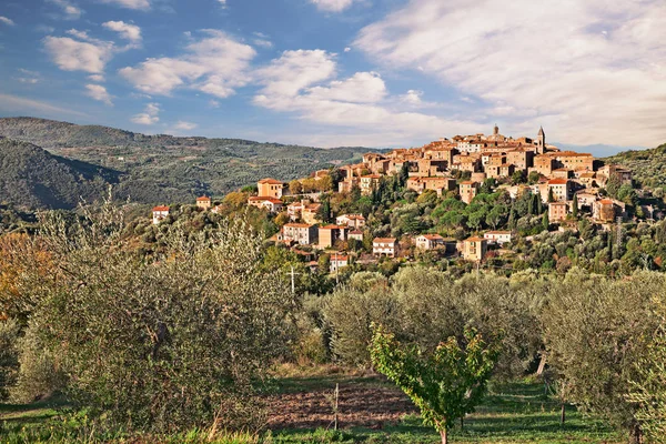 토스카나 이탈리아 올리브 과수원 전경에서 Amiata 슬로프에 마을의 — 스톡 사진