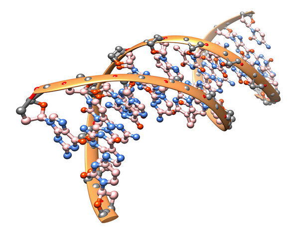 3D illustration of the DNA molecule - organic chemistry: model of the biological particle