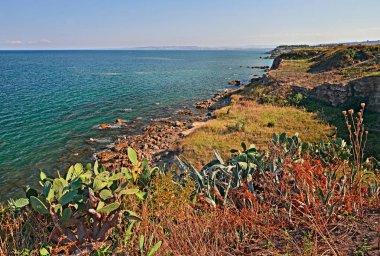 Punta Penna, Vasto, Abruzzo, İtalya: Akdeniz manzara uçurum vahşi bitkiler ve kaktüs ile İtalyan Adriyatik Denizi kıyılarında