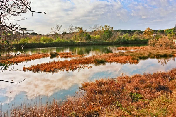 意大利埃米利亚罗马涅的拉文纳 宝三角洲公园湿地景观 意大利海岸野生自然保护区的沼泽 — 图库照片