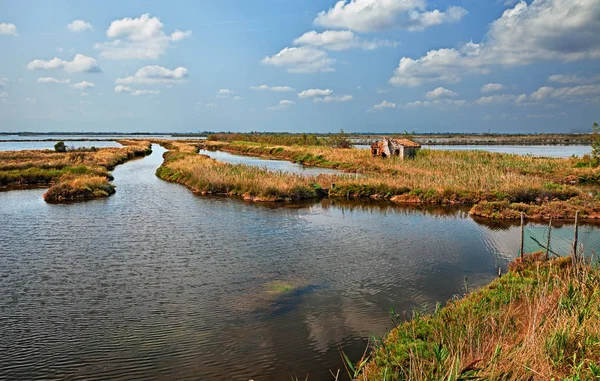 Landscape Delta Park Rosolina Rovigo Veneto Italy Picturesque View Swamp — Stock Photo, Image