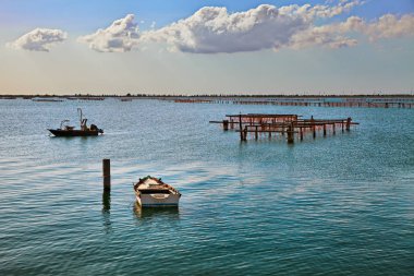 Porto Tolle, Rovigo, Veneto, Italy: marine landscape of the Adriatic sea in the Po Delta Park with fishing boats and wooden poles for mussels farming clipart