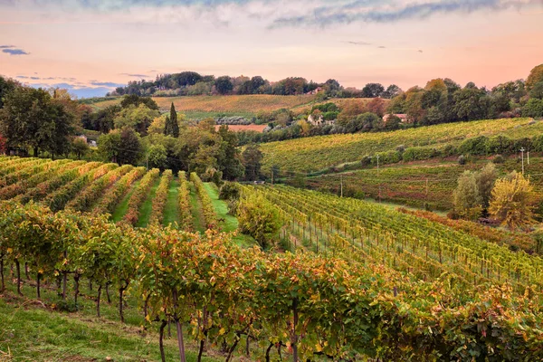 Faenza Ravenna Emilia Romagna Italia Paesaggio All Alba Della Campagna — Foto Stock