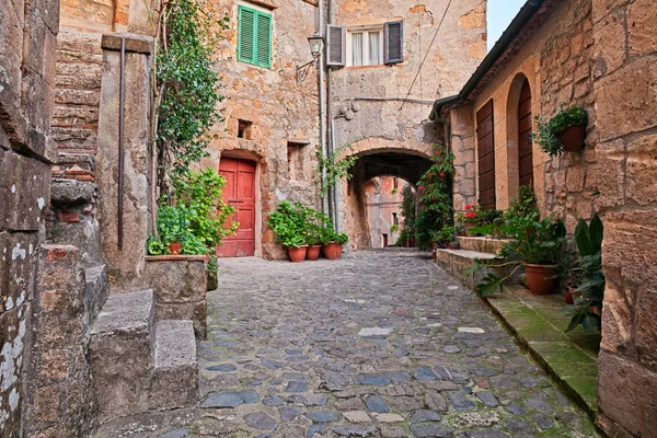 Sorano Grosseto Toscane Italië Pittoreske Oude Smalle Steegje Met Onderdoorgang — Stockfoto