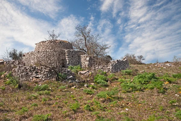 Altamura Włochy Apulia Bari Stary Trullo Wsi Tradycyjnych Apulijskich Suchy — Zdjęcie stockowe