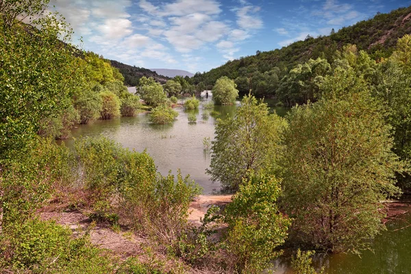 Lac Retenue Laye Forcalquier Provence Franciaország Tavasszal Buja Zöld Növényzet — Stock Fotó