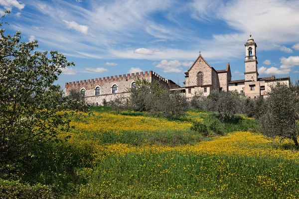 フィレンツェ トスカーナ イタリア カルトゥハ修道院 チェルトーザ フィレンツェ 中世の修道院 1341 年に設立された オリーブの木と花の田舎の春の風景 — ストック写真