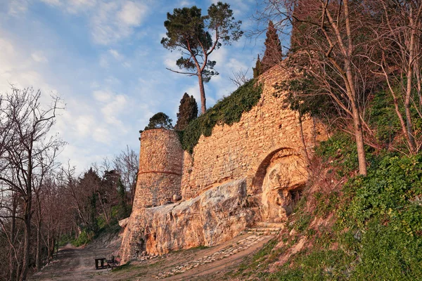 베 르 티 노로, 포 체 세 나, 에밀리 아 로마 냐, 이탈리아: 고 대 힐 타운의 중세 도시 벽 스톡 사진