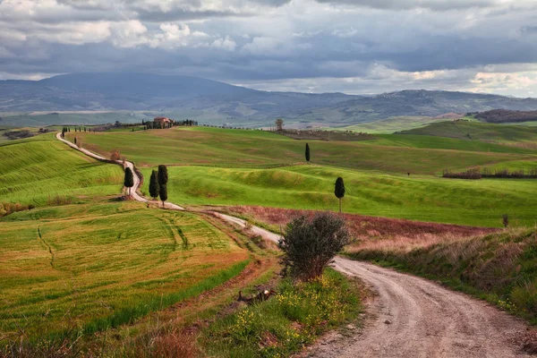 Pienza, Siena, Toskania, Włochy: krajobraz toskańskich wzgórz, gdzie film Gladiator został nakręcony — Zdjęcie stockowe