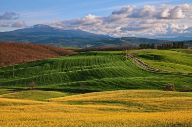 Pienza, Siena, Toskana, İtalya: Val d'Orcia kırsalında manzara
