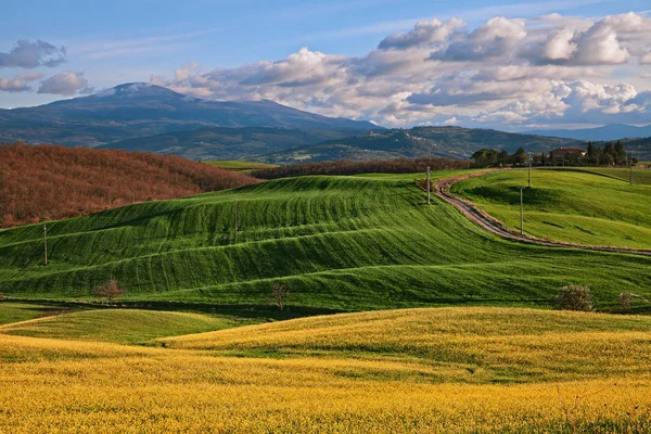 피엔자, 시에나, 토스카나, 이탈리아: 발 도르시아 시골 풍경 스톡 사진
