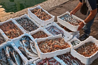 Adriyatik balıkçılık limanındaki rıhtımda sandık sandık balık.