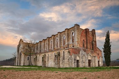 Chiusdino, Siena, Tuscany, İtalya 'daki Aziz Galgano Manastırı. Ortaçağ 'ın harabe içindeki çatısız kilisesinin günbatımına bakın. 