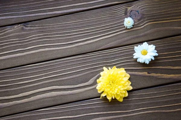 Cute flowers on a wood table