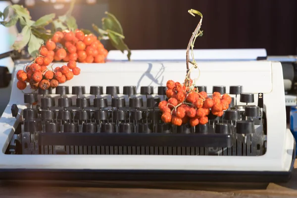 Winter Story Series Winter Still Life Old Typewriter Rowan Berries — Stock Photo, Image