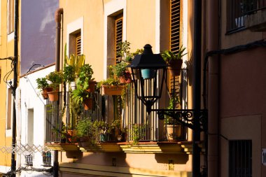 İspanya Tatil serisi. Tarragona, sokakta konuda seyahat, yaz, tatil yeşil bitkiler ile sarı bina balkon.