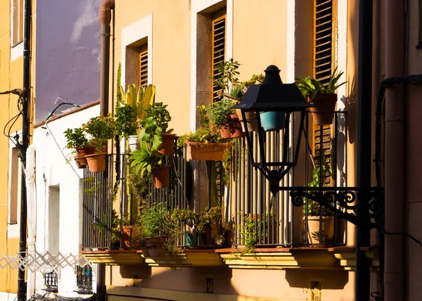 İspanya Tatil serisi. Tarragona, sokakta konuda seyahat, yaz, tatil yeşil bitkiler ile sarı bina balkon.