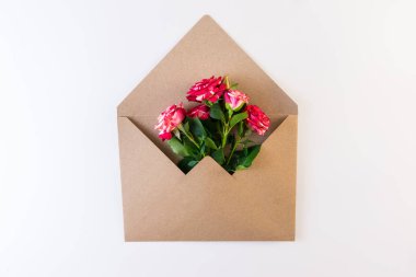 Çiçek serisi. Beyaz arka plan üzerinde zanaat zarf üzerinde yeşil yaprakları ile yumuşak Mor gül çiçek.