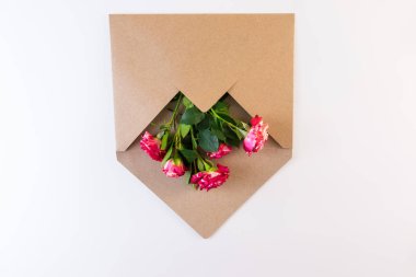 Çiçek serisi. Kırmızı beyaz gül çiçek craft zarf beyaz zemin üzerine yeşil yaprakları ile.