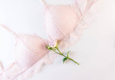 Çiçek serisi. Beyaz arka plan üzerinde pembe Bayan dantelli iç çamaşırı üzerinde üzerinde yeşil yaprakları ile yumuşak Mor gül çiçek.