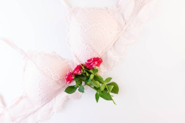 Çiçek serisi. Yeşil yapraklarda pembe Bayan dantelli iç çamaşırı beyaz zemin üzerine kırmızı beyaz gül çiçek.