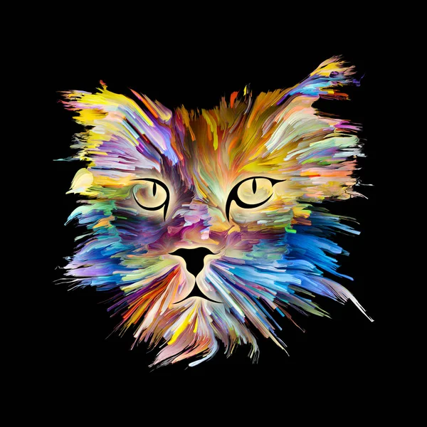 Kolorowe Kitty — Zdjęcie stockowe