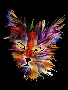 Renkli Kitty