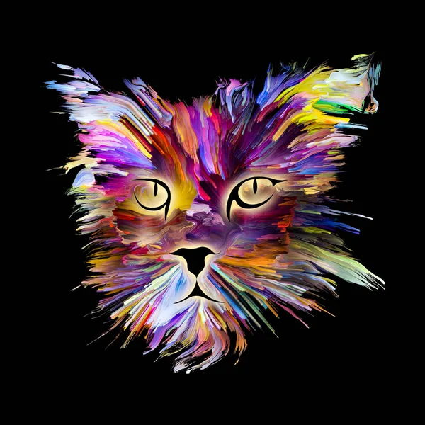 Kleurrijke Kitty — Stockfoto